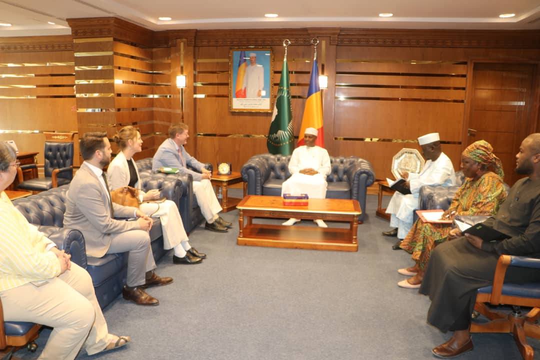 Tchad-Allemagne : consolidation d'une coopération exemplaire