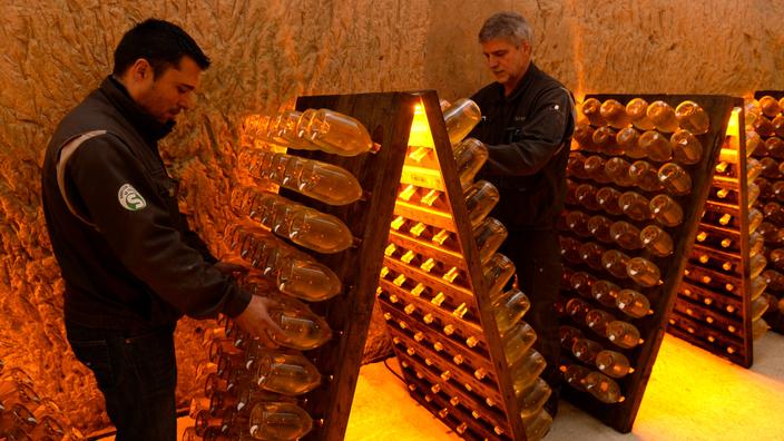 Menaces de Trump sur le champagne et le cognac : la grande inquiétude des viticulteurs