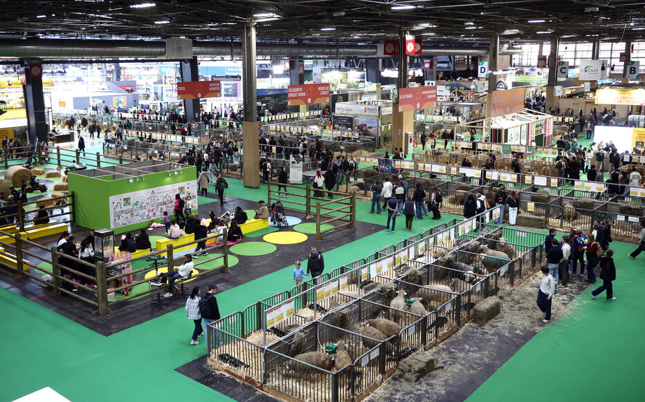 Salon de l'agriculture : 15 personnes interpellées après une rixe.